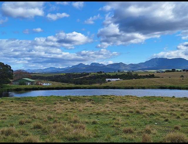 FARM FOR SALE IN GEORGE RURAL